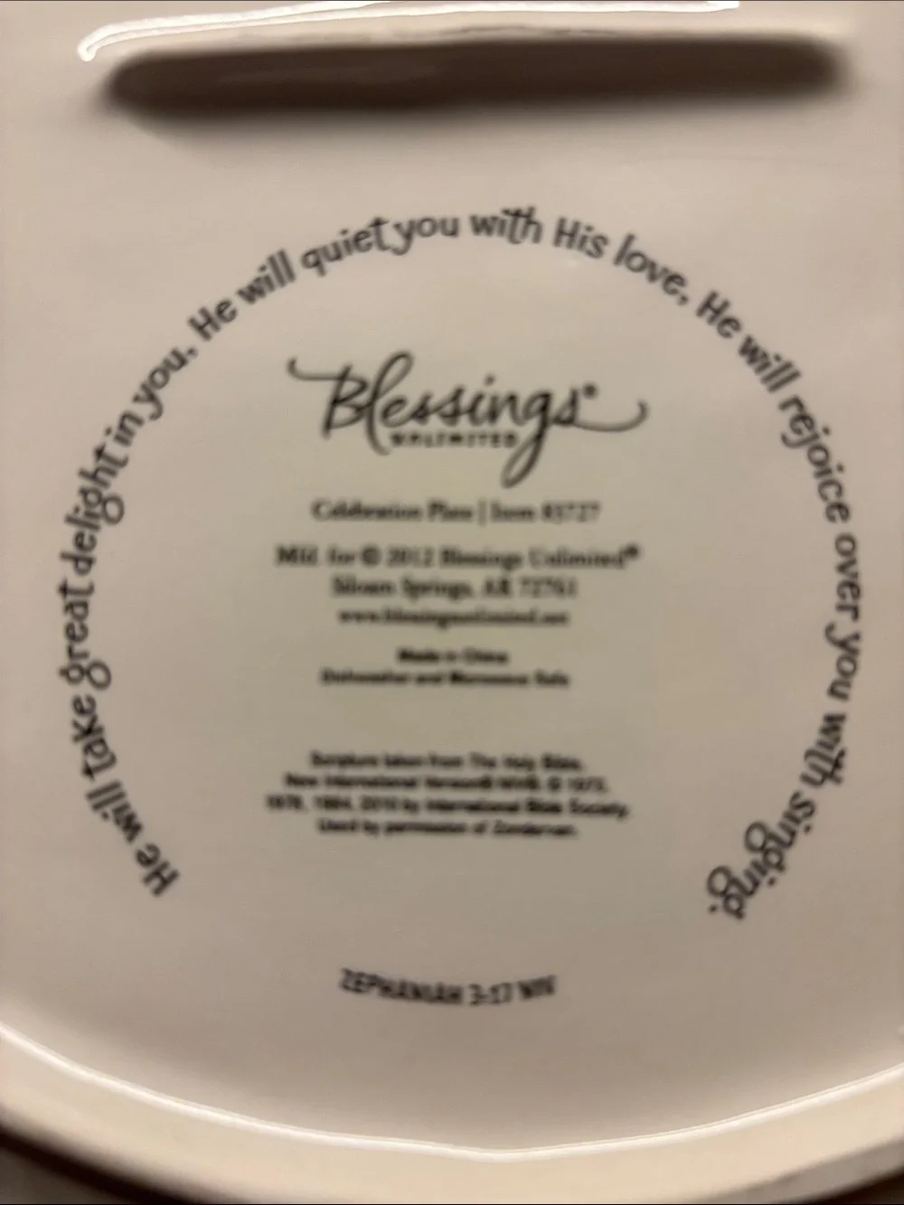 Hand-Painted Red Floral Celebration Ceramic Plate